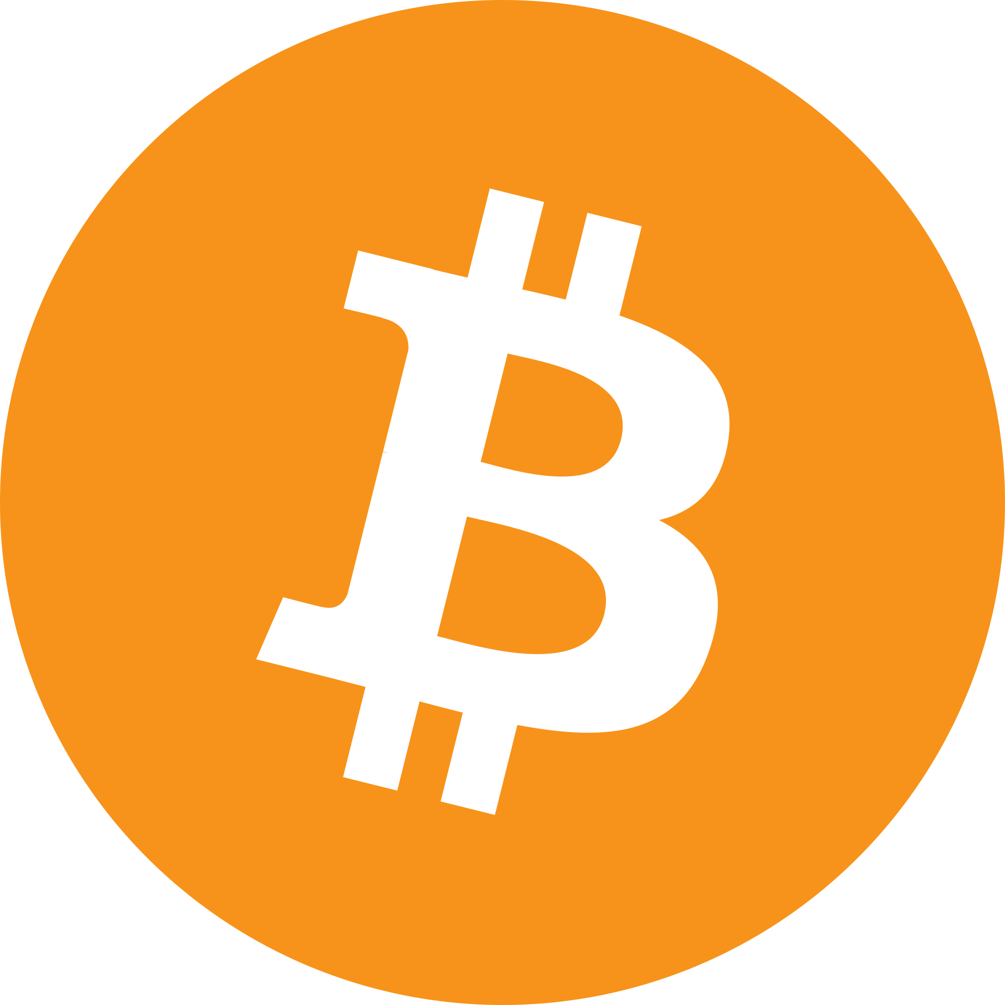 Bitcoin 로고
